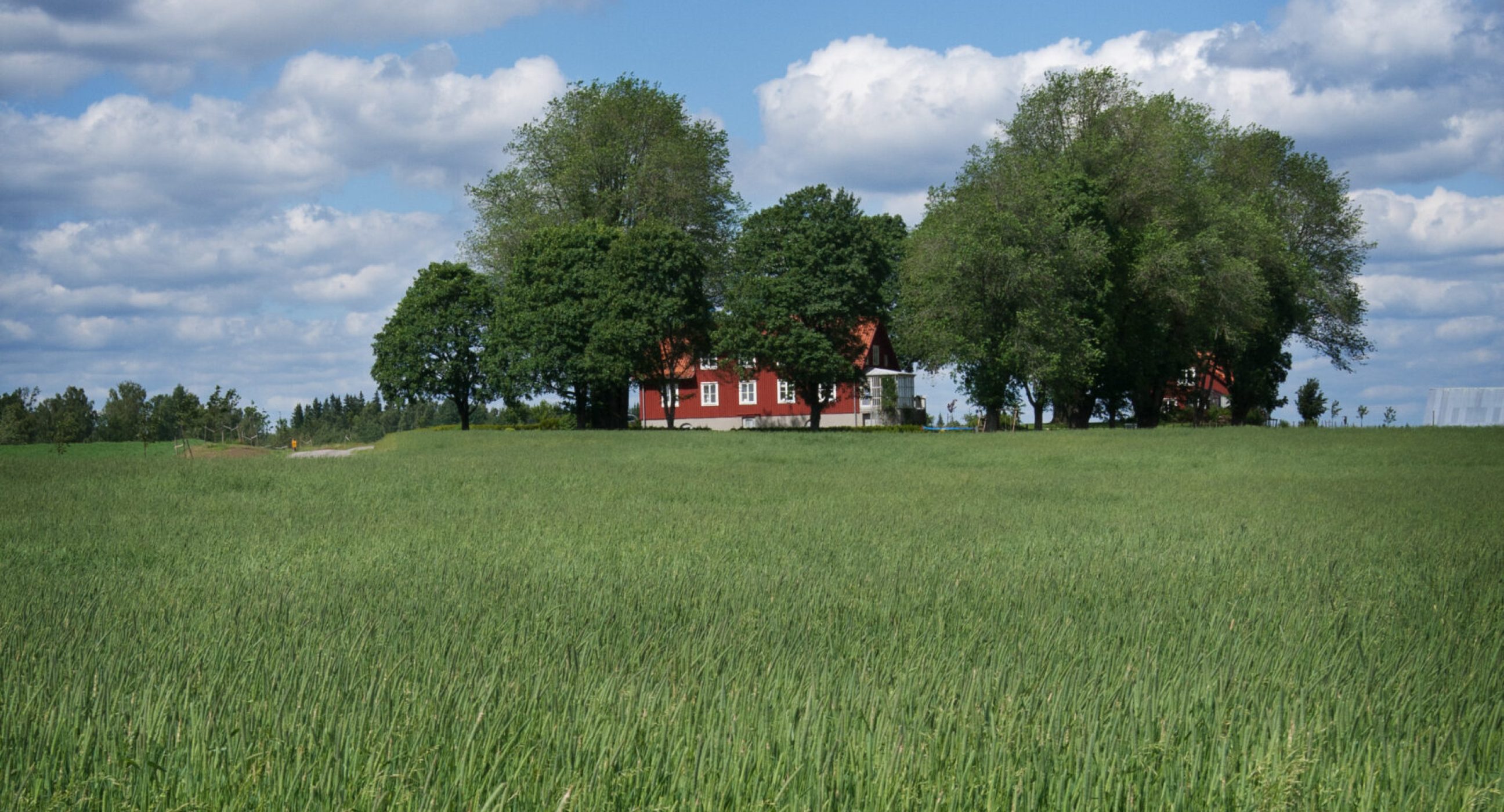 farm-in-sweden-2-1203478